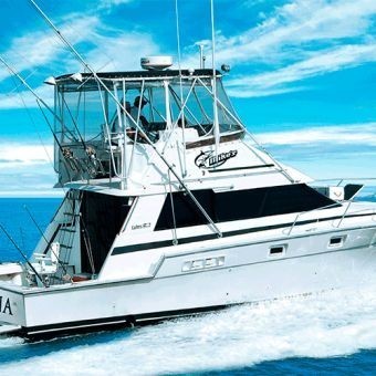 Pesca Deportiva - Puerto Vallarta