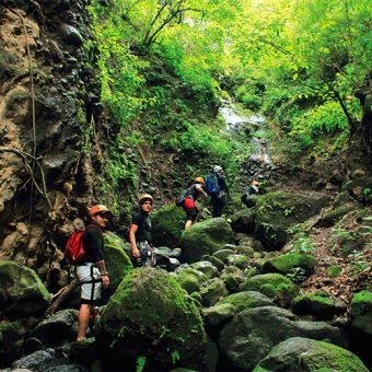 Cañonismo - Cuernavaca