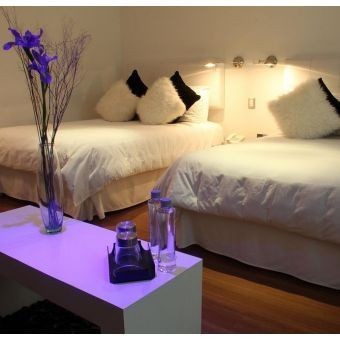 Sofisticada Noche en Jalisco