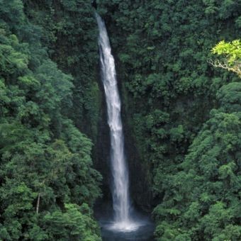Escapada de Acción en Jalisco
