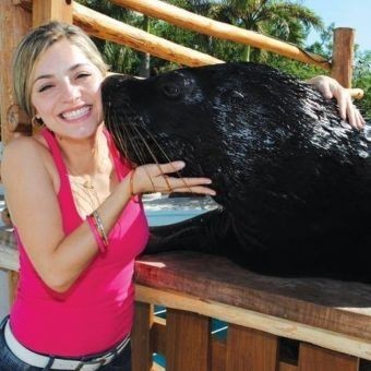 Aventura con Leones Marinos en Cancún