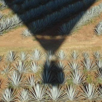 Vuelo en Globo Privado por Guadalajara