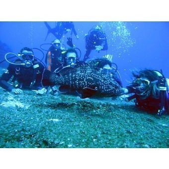 Buceo en Manzanillo