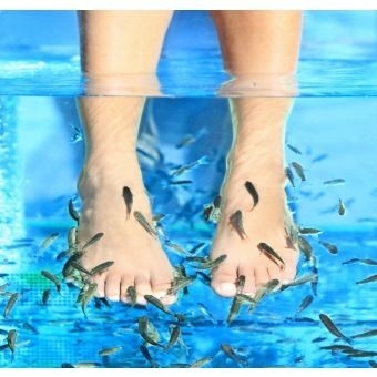 Tarde de Manicure y Fish-Spa