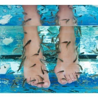 Tarde de Fish-Spa para Dos