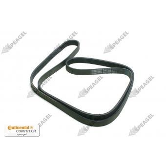 Banda alternador Crafter TDI sin aire 08-09 Contitech 6K2000