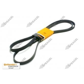 Banda alternador Crafter TDI con aire 08-09 Contitech 6K2585