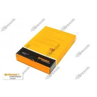 Banda distribucion tiempo Chrysler Sebring Contitech TB 246